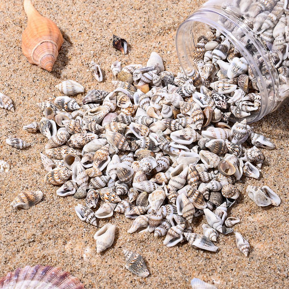 150G Ocean Theme Shell & Conch Bead Set