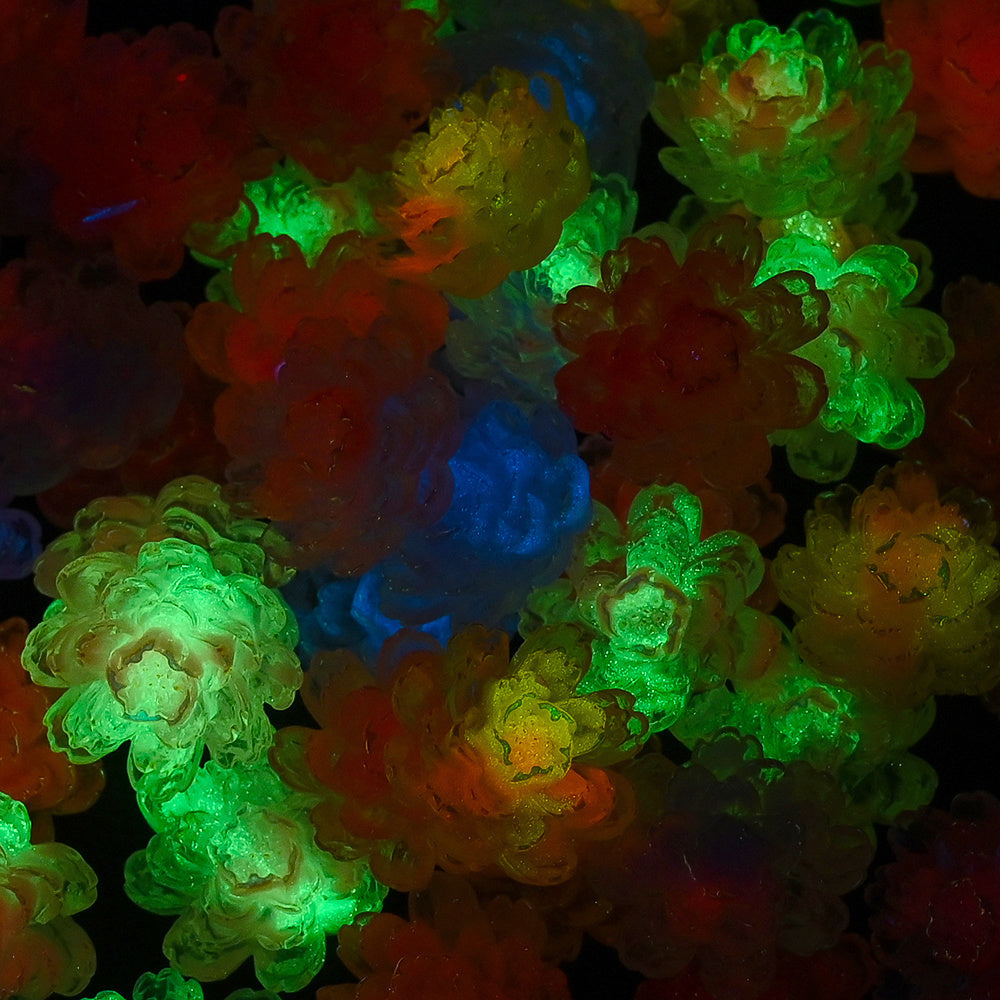 10PCS 25×27mm Gradient Luminous Resin Orchid Embellishment Set