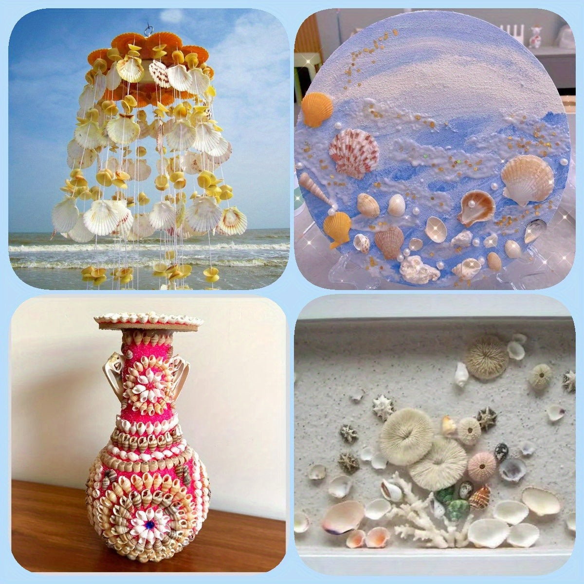 740-1000 pcs Mini Natural Seashells