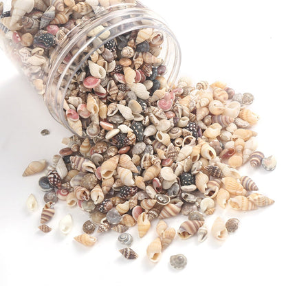 740-Piece Natural Mixed Mini Shell Beads