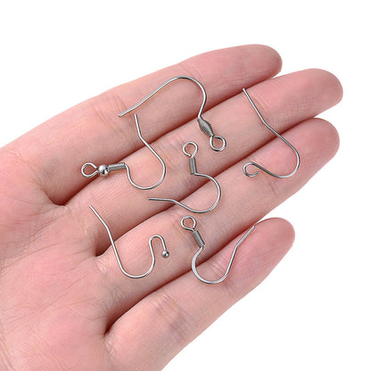 Stainless Steel Earring Hooks