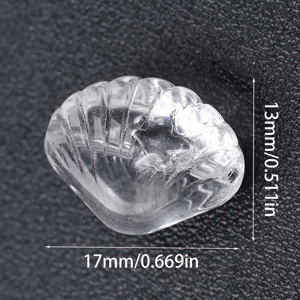 Transparent Shell Glass Beads