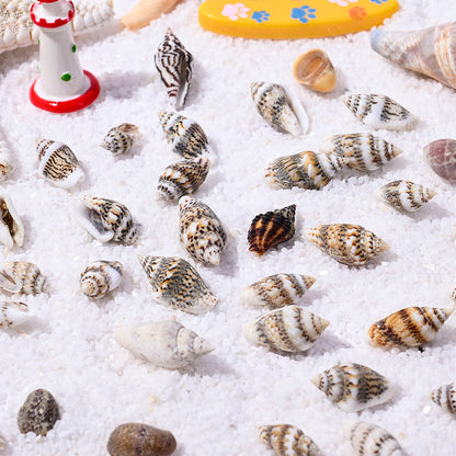 150G Ocean Theme Shell & Conch Bead Set