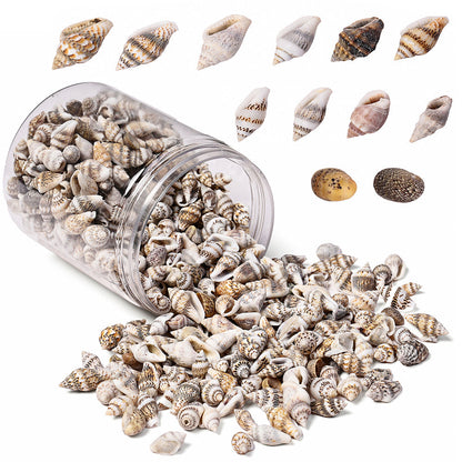 150G Ocean Theme Shell & Conch Bead Set