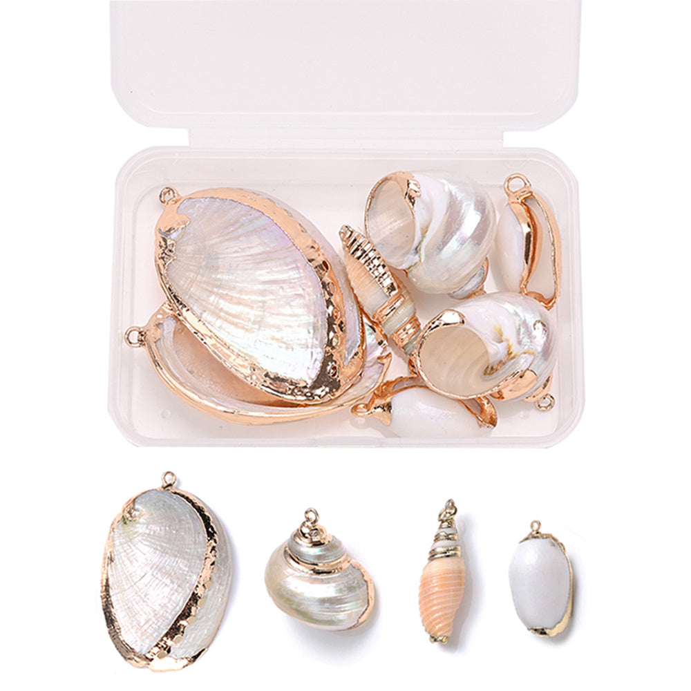 8-Piece Mixed Natural Shell Conch Charms with Gold Edges