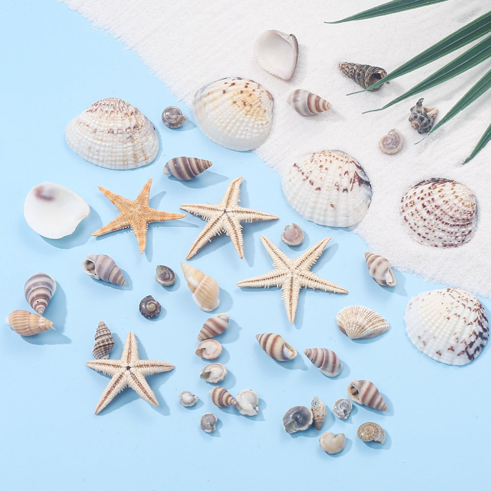 740-Piece Natural Mixed Mini Shell Beads