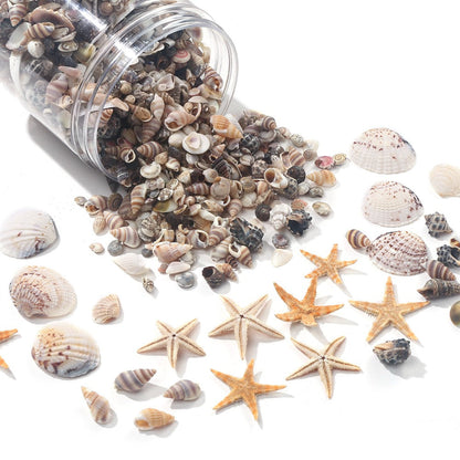 740-Piece Natural Mixed Mini Shell Beads