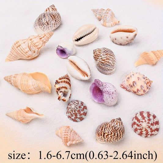 Ocean Series Shell Conch Beads