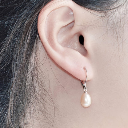 Stainless Steel Earring Clasp Hooks