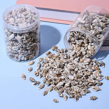 150G Ocean Theme Shell & Conch Bead Set