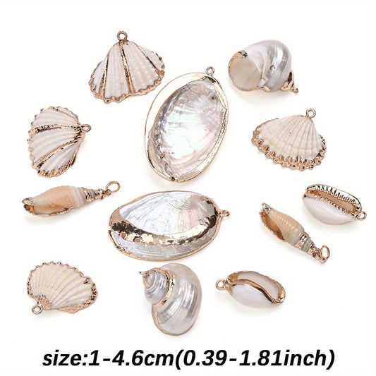 8-Piece Mixed Natural Shell Conch Charms with Gold Edges