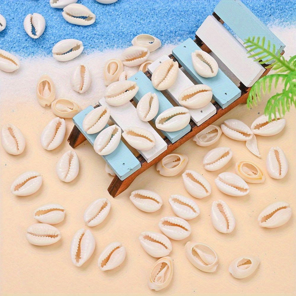 Natural Shell Beads, 100 g/Box, Approx. 200 pcs