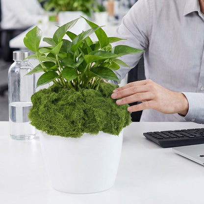 Artificial Green Moss Grass