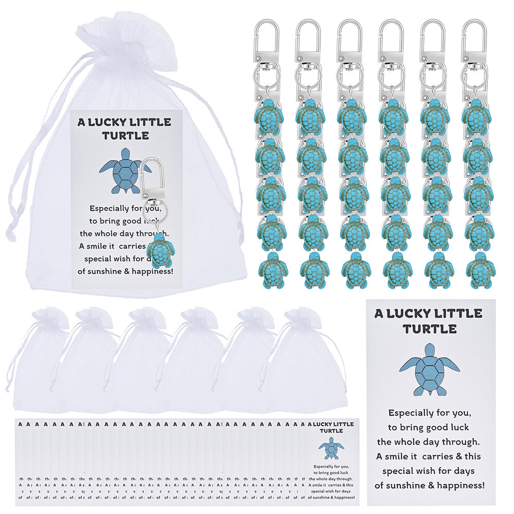 Lucky Turtle Keychain Gift Set