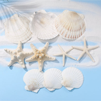 Natural Seashell and Starfish Mix