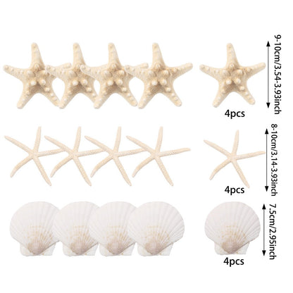 Natural Seashell and Starfish Mix
