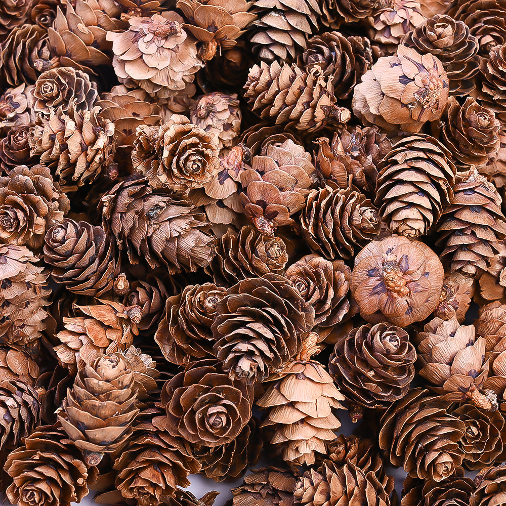 70-Piece 2-3 cm Natural Pine Cone Decorations
