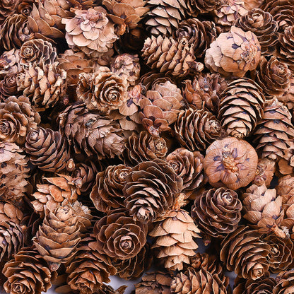 70-Piece 2-3 cm Natural Pine Cone Decorations