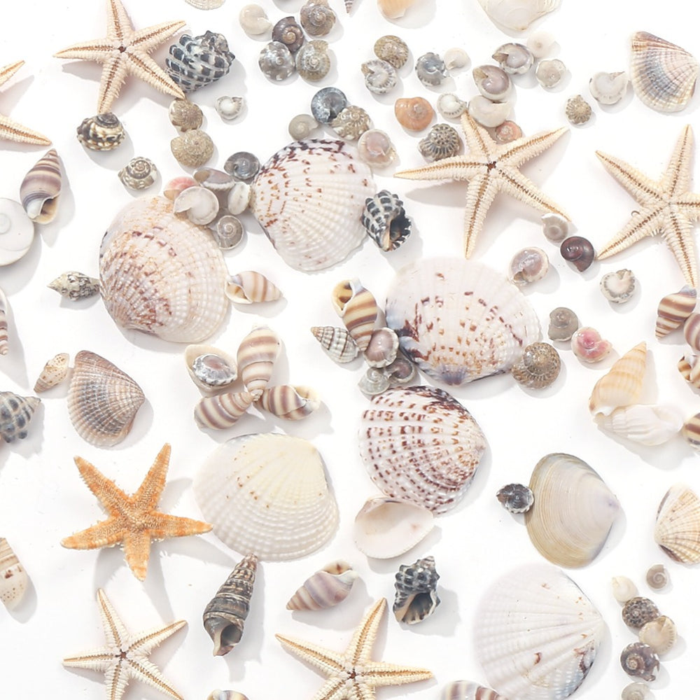 740-Piece Natural Mixed Mini Shell Beads