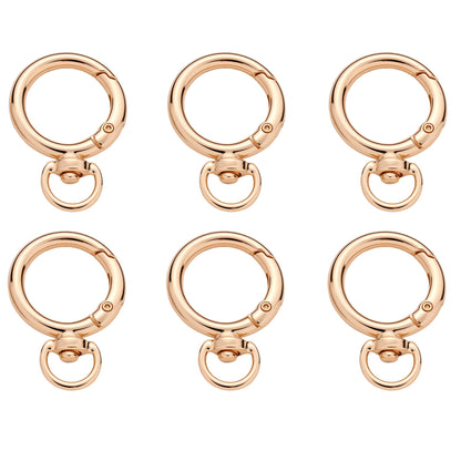 Golden & Silver Keychain Clasp Set