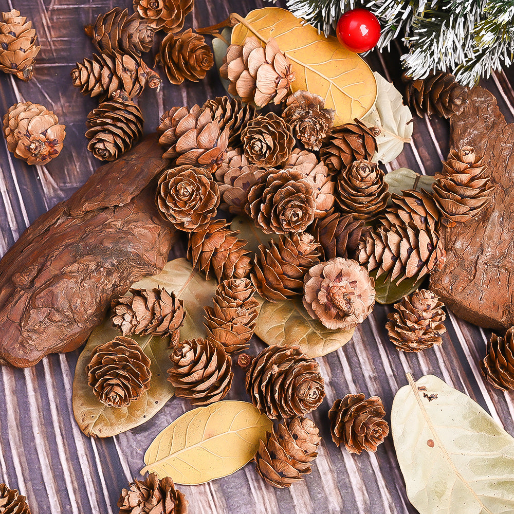 70-Piece 2-3 cm Natural Pine Cone Decorations