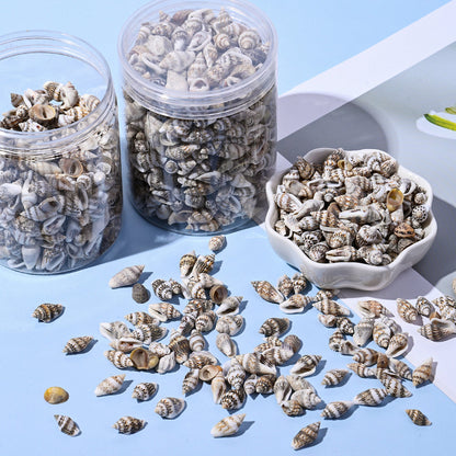 150G Ocean Theme Shell & Conch Bead Set