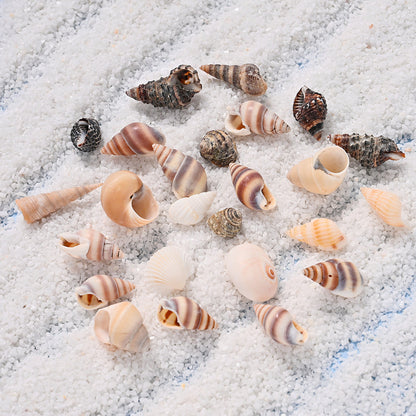 300g Mini Shell Conch Beads